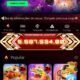 CHINESA NEWBET